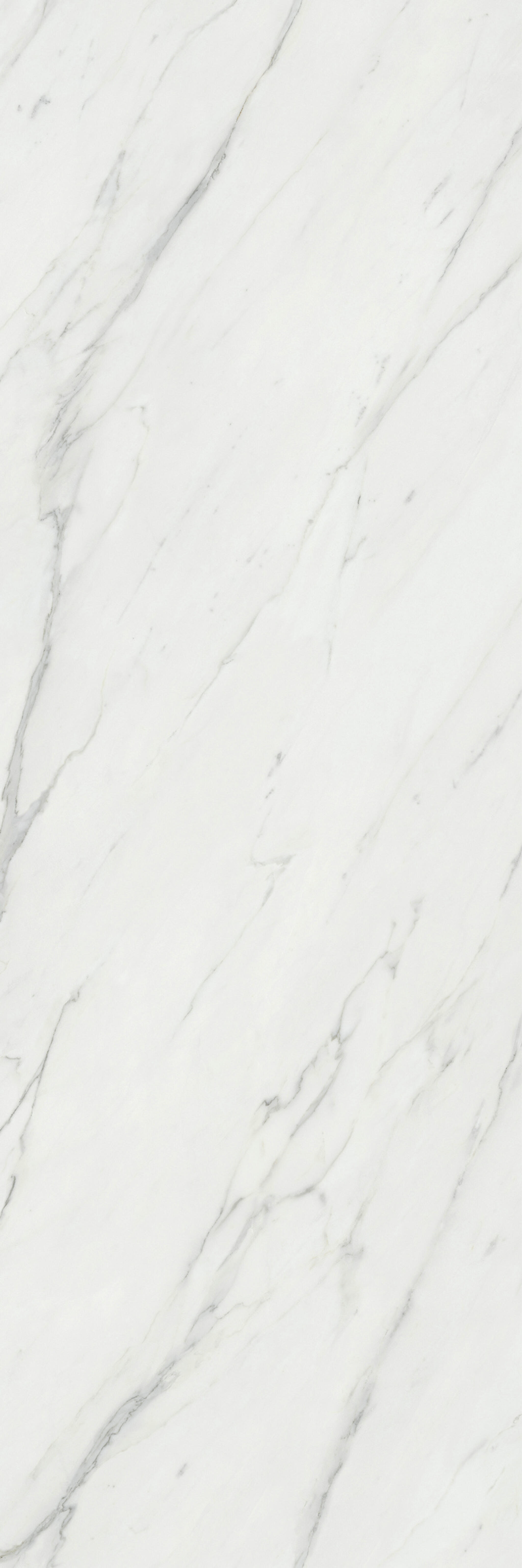 Calacatta Classico White